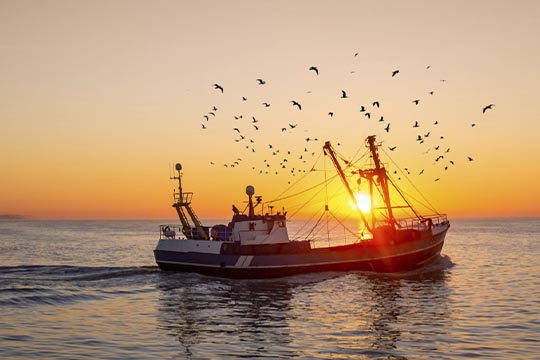 Seguro de Accidentes personales para pesqueros y buzos